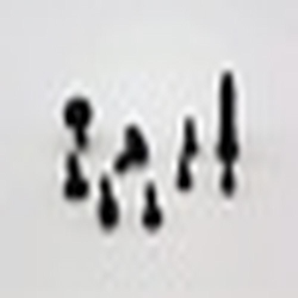 OEM Automotive customizing speical stainless steel rivet