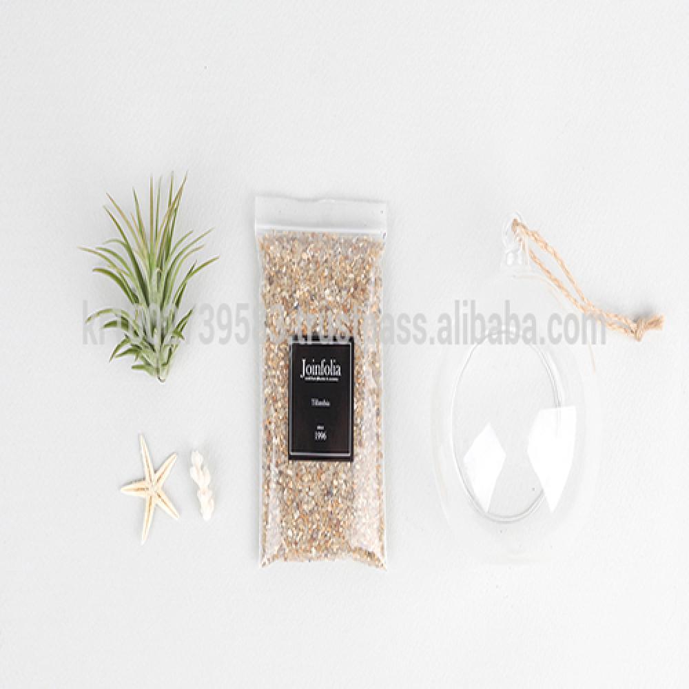 Air Plants Tillandsia DIY Terrarium Kit " Ionantha Mini Beach " by Joinflower Joinfolia