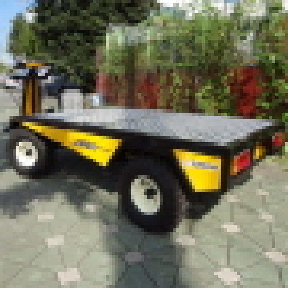 Electric Vehicle(SJE 3100)