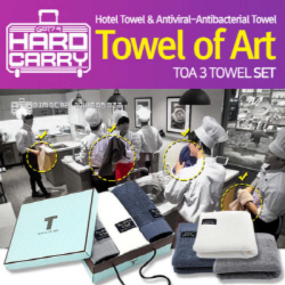 G-Sol Towel of Art 3ea SET