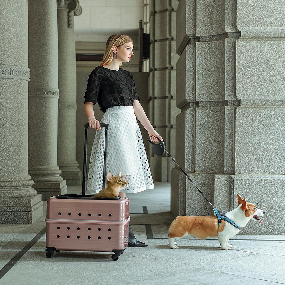 PUBT pet carry bag with casters Duke M