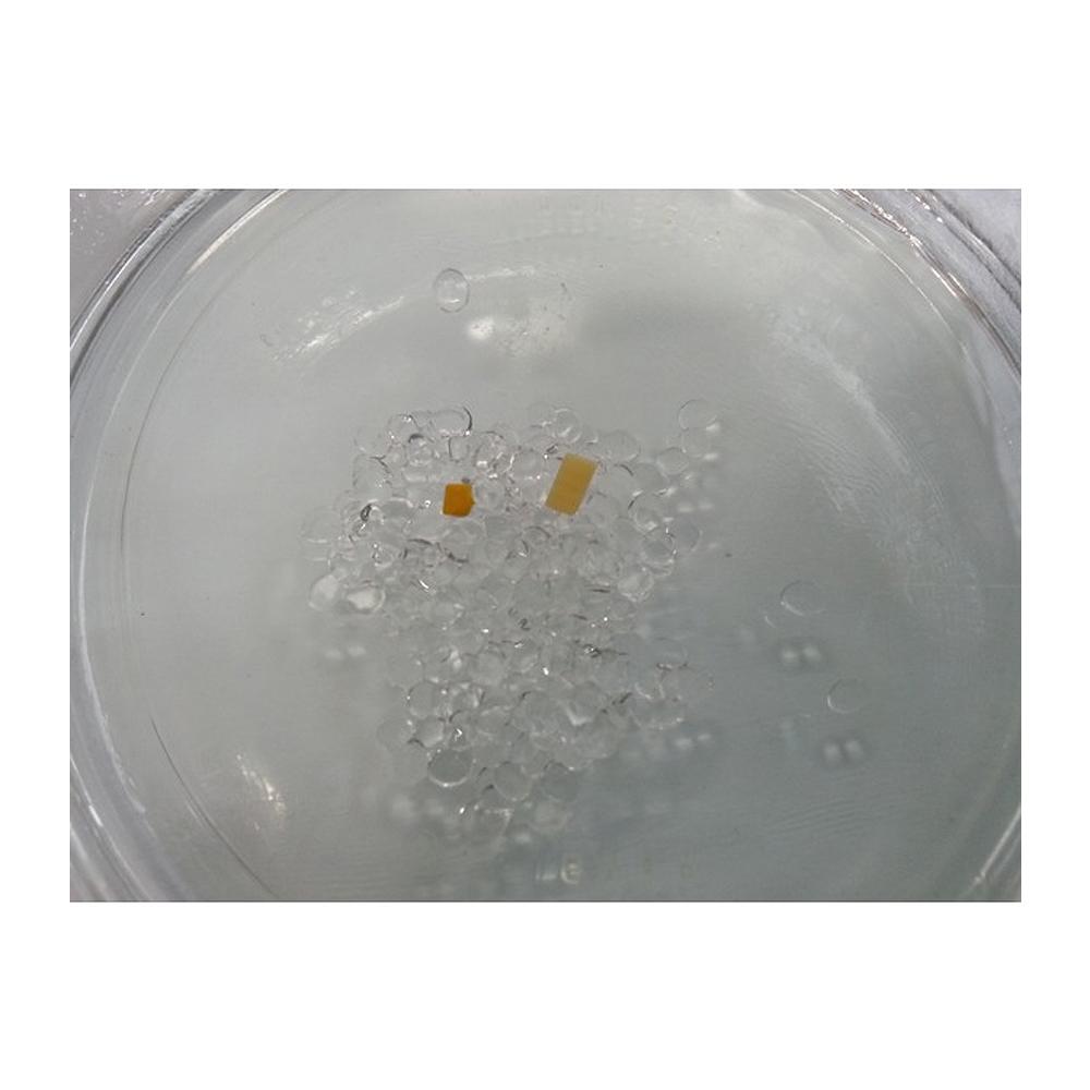 Polymorph and Color Chip(Pigment) Set