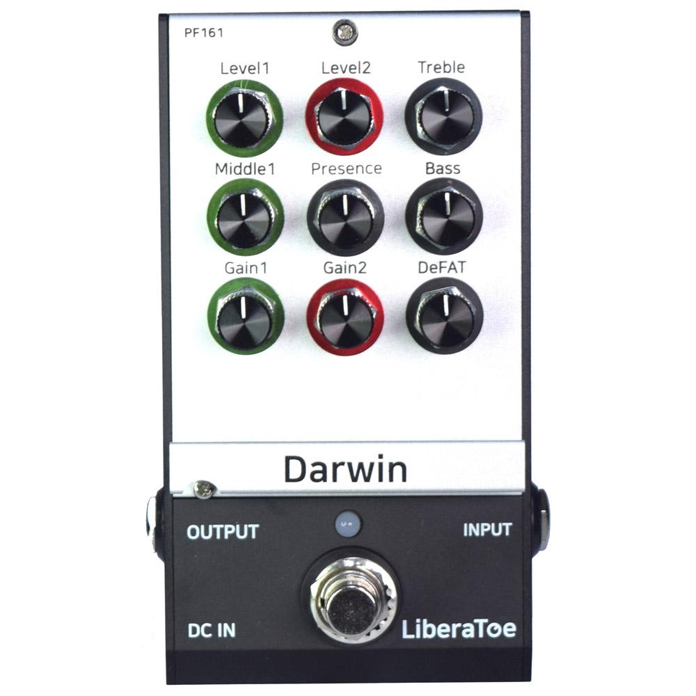 Liberatoe Dual Channel Effect Pedal D Type Double Power / Analogue Sound