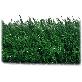 full image Artificial grass 35mm 1 roll