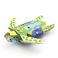 detail image2 Artbot Green Sea Turtle