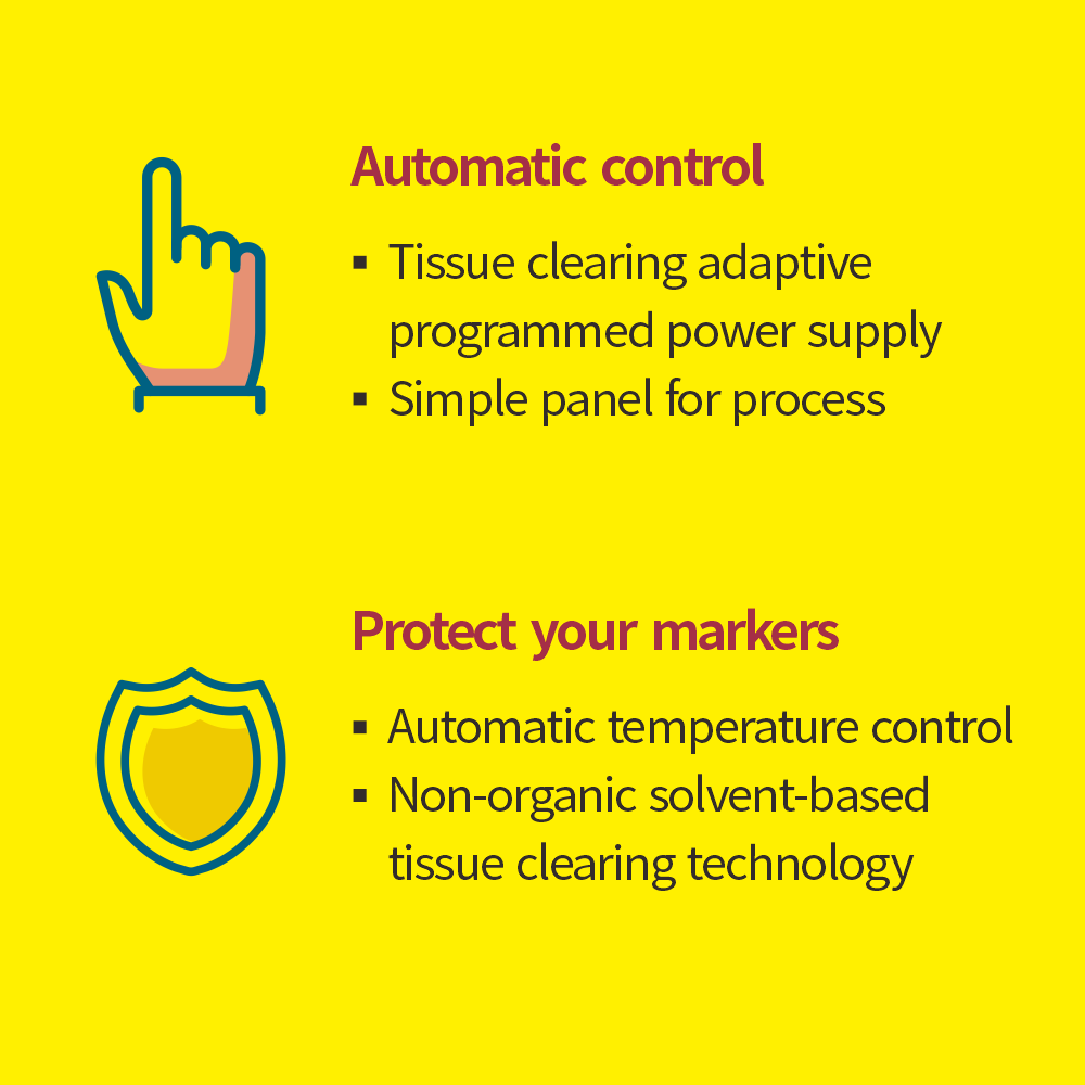 Binaree Tissue Clearing Rapid Solution Brain