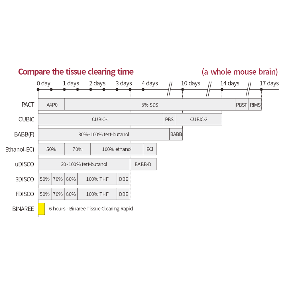 Binaree Tissue Clearing Rapid System