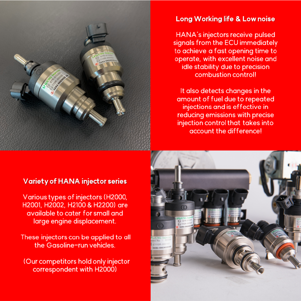 LPG CNG injector for Heavy Trucks (H2100)