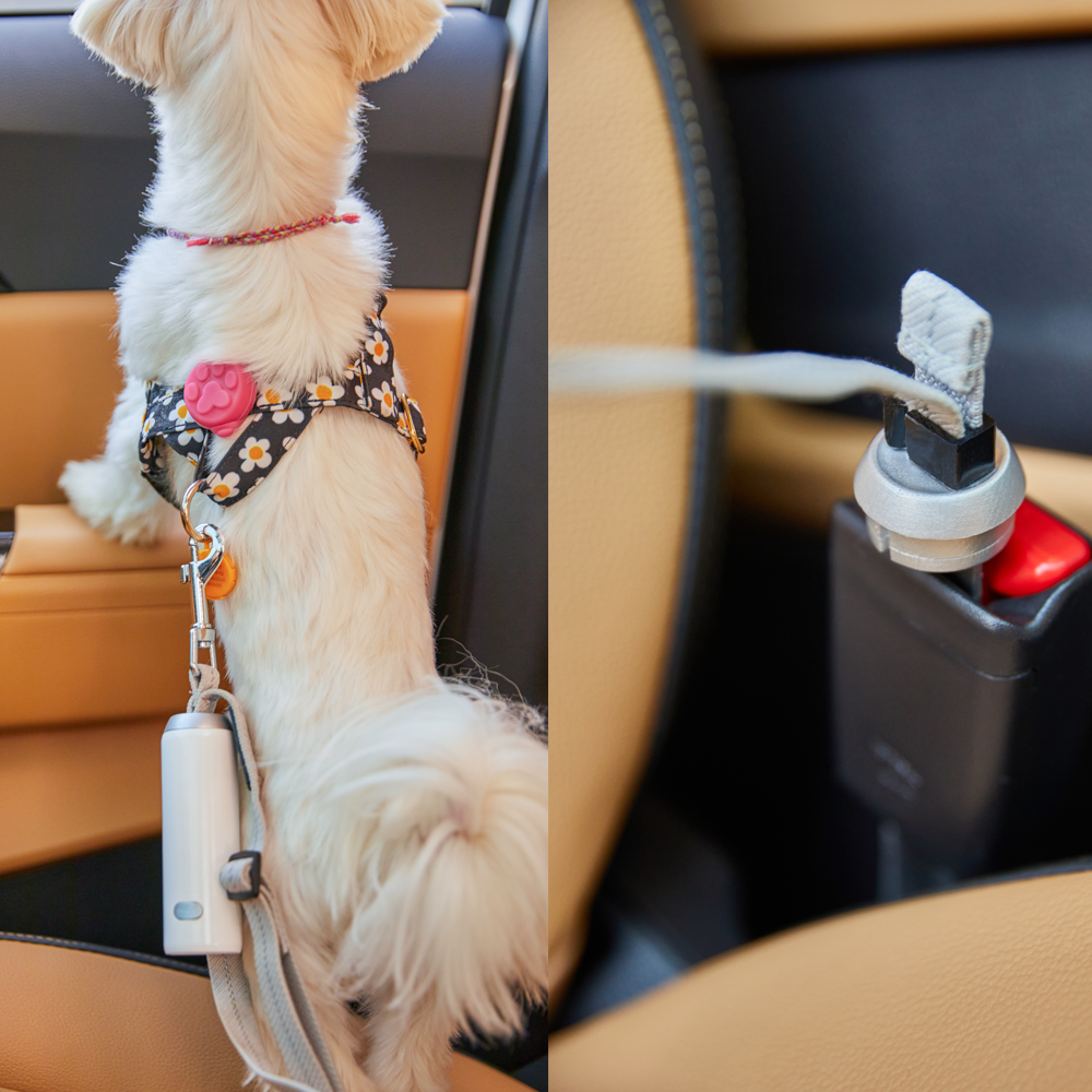 COMEON DOG Safety Clip Multi Dog Leash