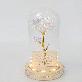 detail image3 LED flower road Aurora rose glass dome mood light lover's gift