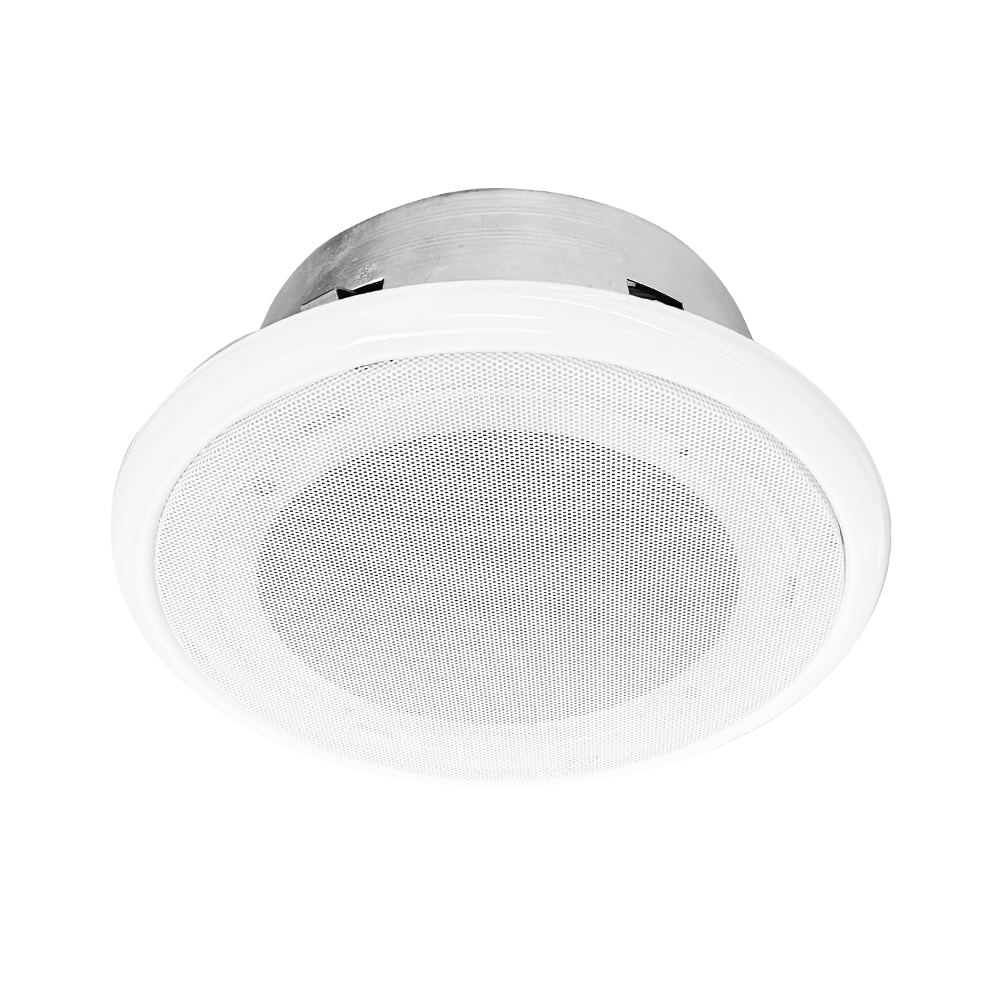 Audio Recording and Bug Suppressor "RBS-008C"