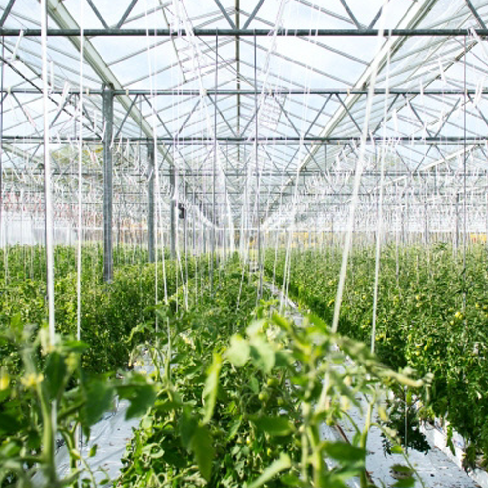 ACX Layflat Hose (PVC)