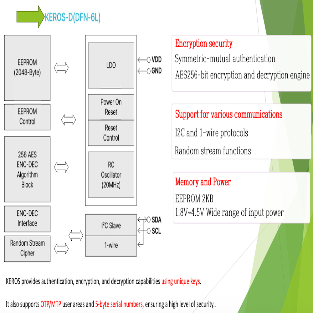 semiconductor security chip (IC)
